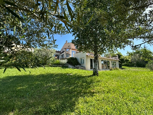 Property Detail