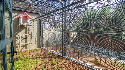 Property Detail