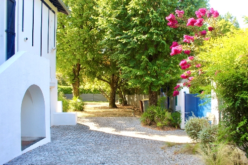 Property Detail