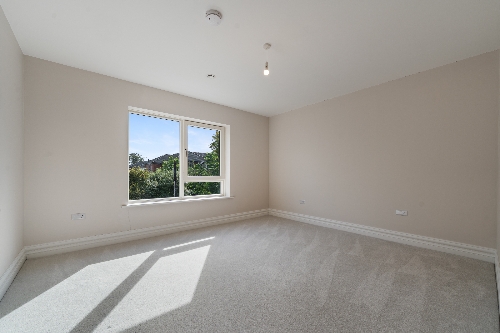 Property Detail