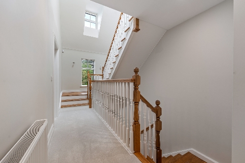 Property Detail