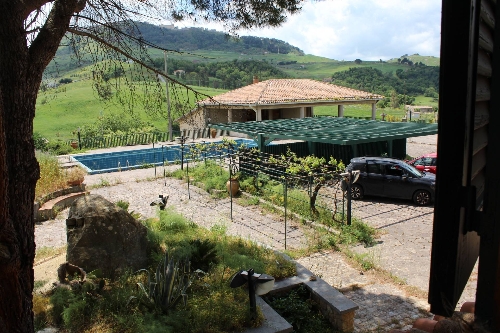 Property Detail