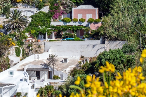 Property Detail