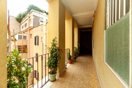 Property Detail