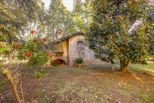Property Detail