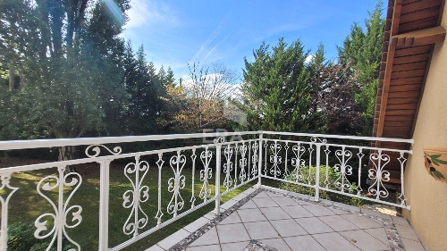 Property Detail